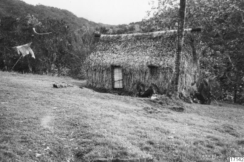 landskap, by, hus, byggnad, fotografi, photograph