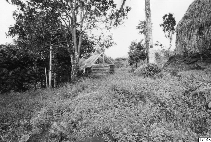 landskap, by, byggnad, hus, fotografi, photograph