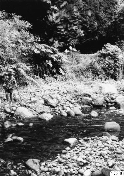 landskap, träd, skog, man, berg, bäck, människa, stenblock, buskar, stenar, fotografi, photograph