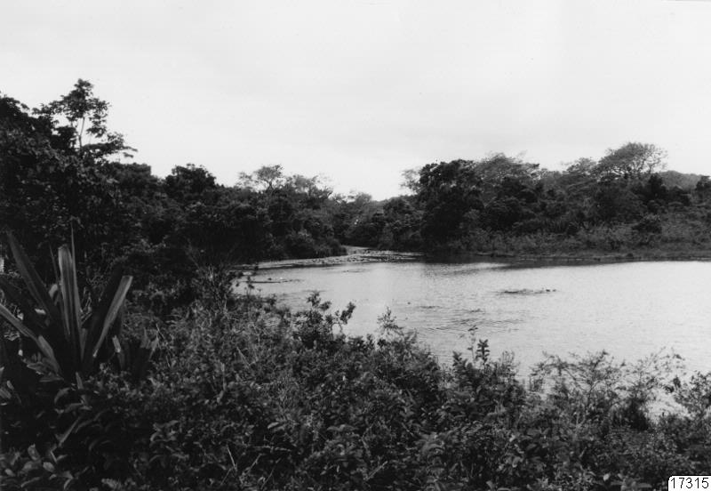 sjö, landskap, träsk, fotografi, photograph