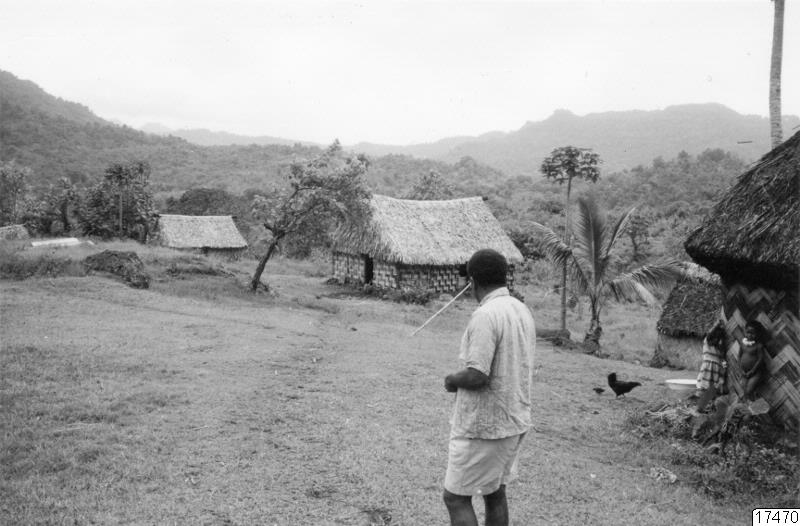 hus, människa, landskap, palm, fotografi, photograph