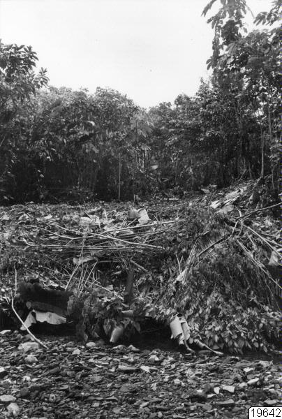 åker, röjning, landskap, fotografi, photograph