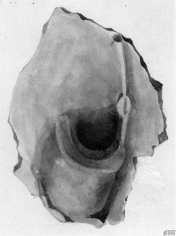 Object image, ear (for clay vessels), drawing, drawing, drawing