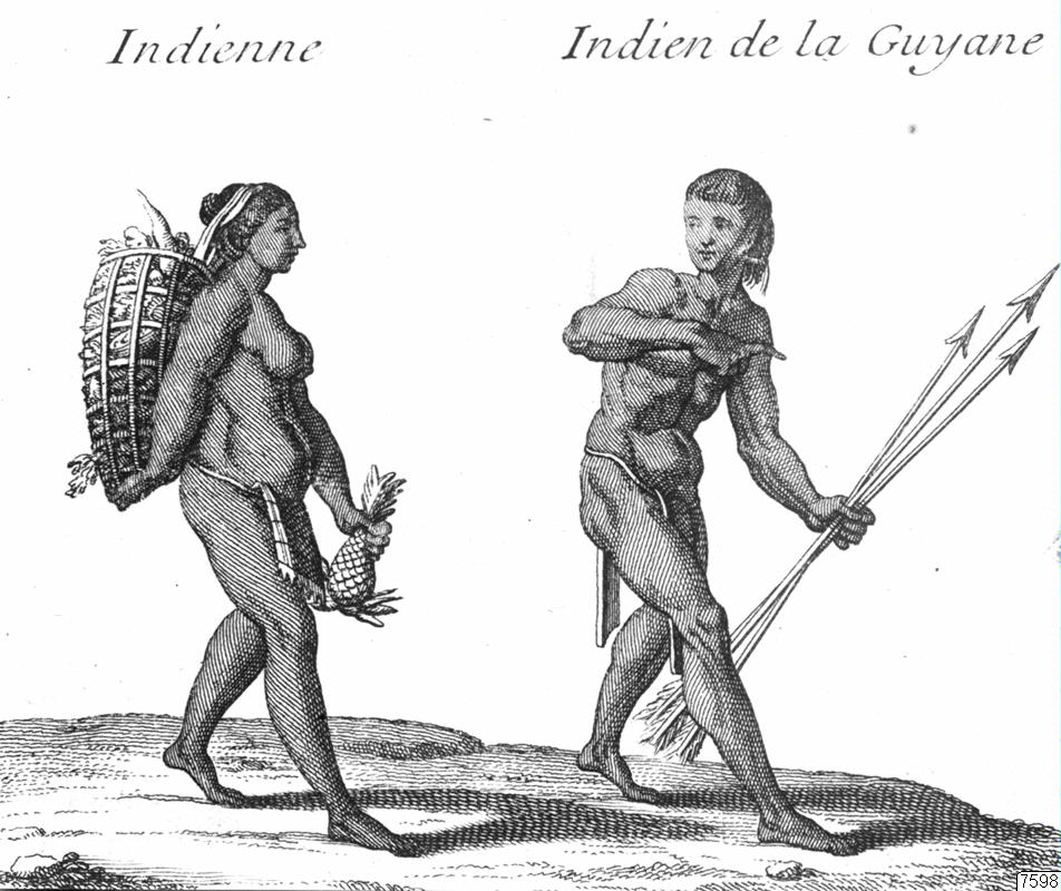 indian, indiankvinna, illustration, teckning, Teckning, drawing