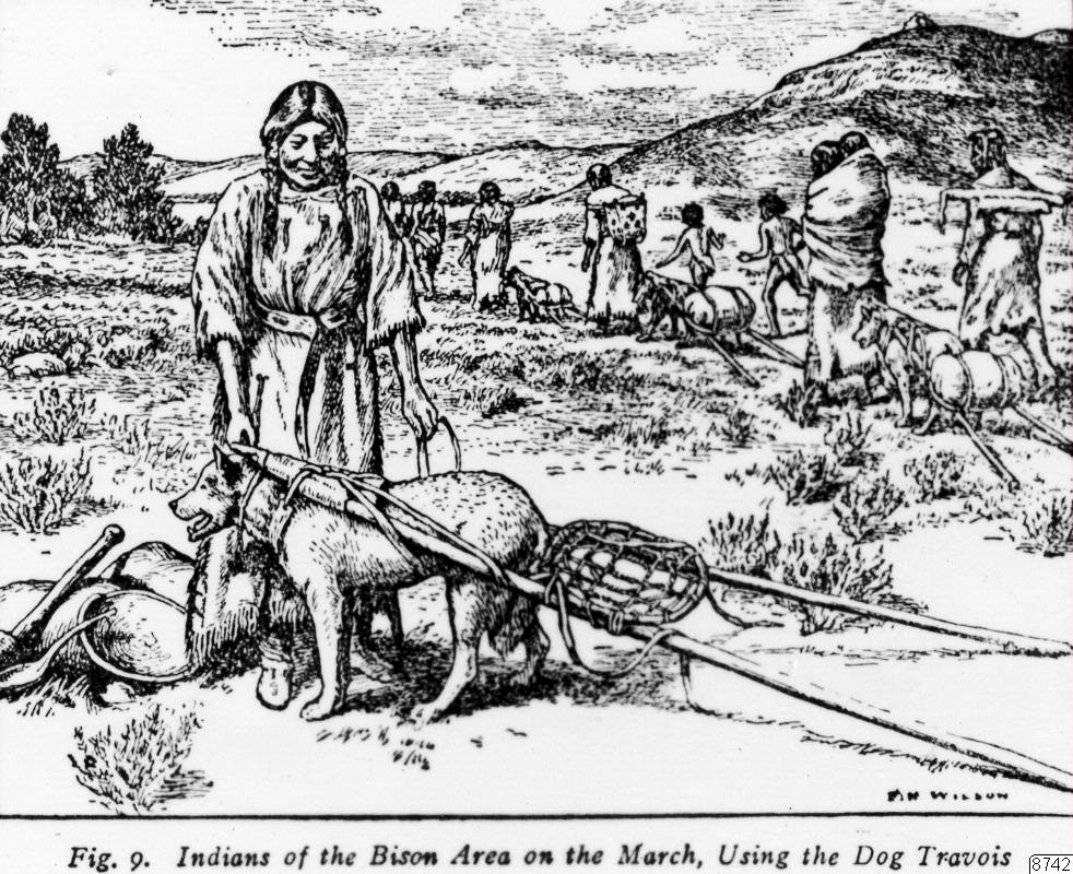 teckning, indianer, prärien, Teckning, drawing