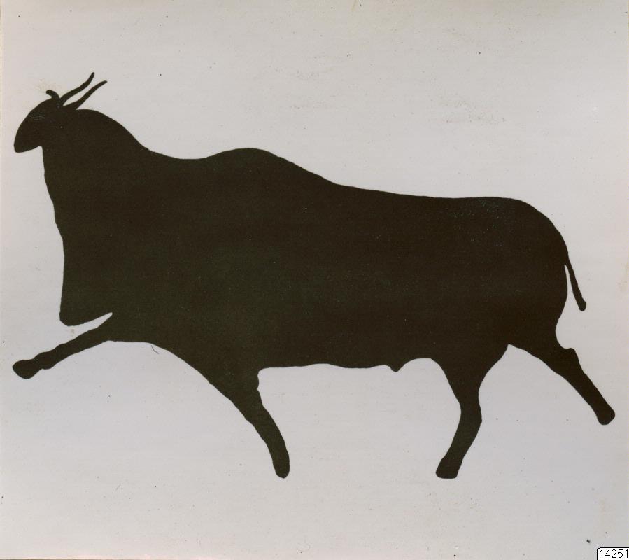 broschyr, hällmålning, fotografi, photograph