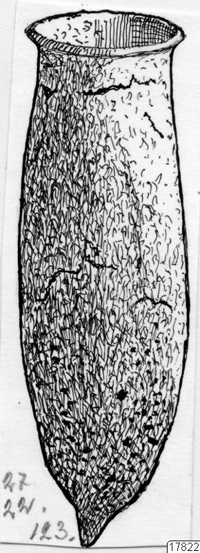 frukt, fruktskal, teckning, föremålsbild, behållare, Teckning, drawing