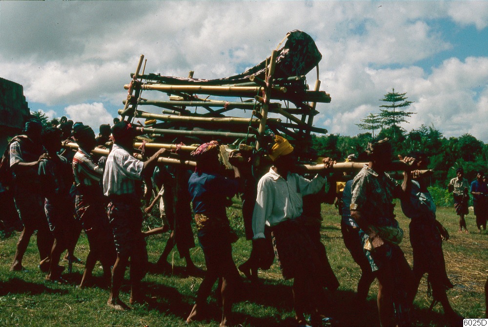 begravning, fotografi, photograph