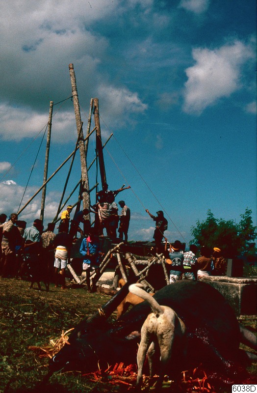 begravning, fotografi, photograph