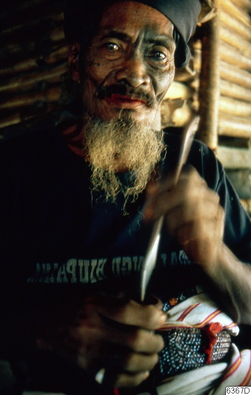 porträtt, fotografi, photograph