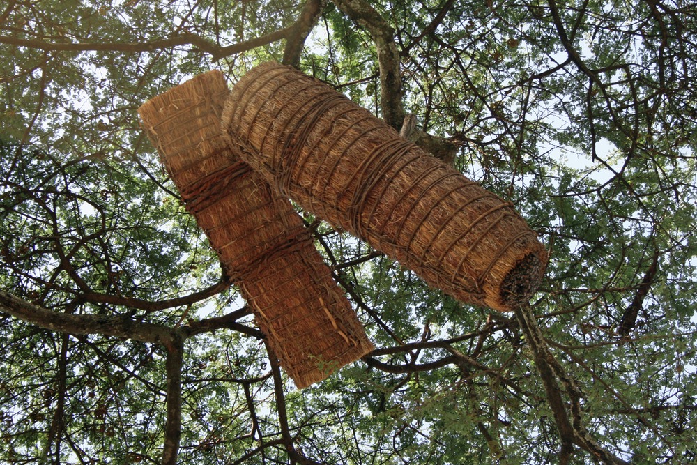 link to gallery