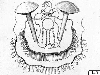 Ornamental objects, silver, drawing, illustration, role model, drawing, drawing