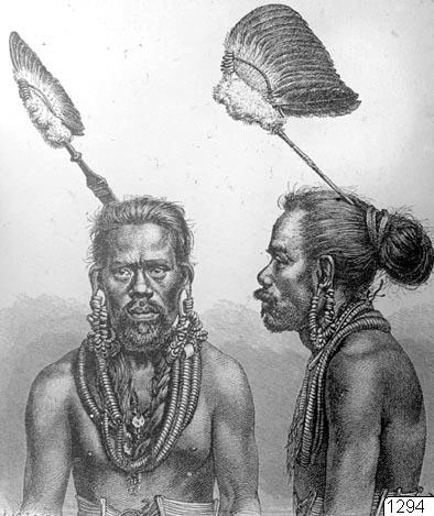 ornaments, man, portrait, native, necklace, headdress, drawing, drawing, drawing
