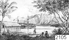 illustration, Arfakbergen, teckning, Teckning, drawing