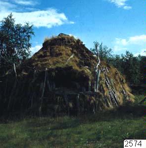 link to gallery