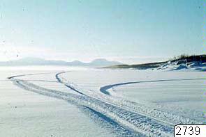 Snölandskap, fotografi, photograph