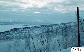 Snow-Landscape, Photography, Web
