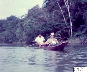 link to gallery