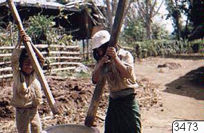 link to gallery