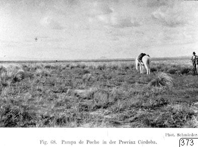 Pampa de Pocho, fotografi, photograph
