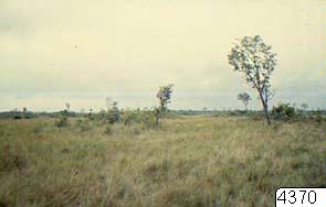landskap, fotografi, photograph