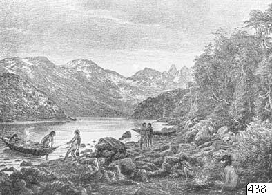 fiske, Teckning, drawing