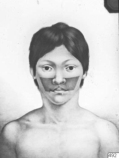 reproduktion, Ansiktsmålning, Teckning, drawing