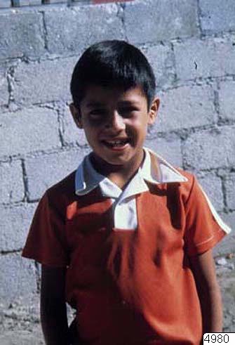 link to gallery