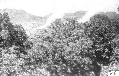 Landskap, Lon, fotografi, photograph