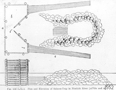 drawing, illustration, salmon trap, drawing, drawing