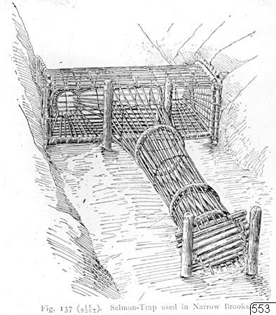 drawing, illustration, salmon trap, drawing, drawing