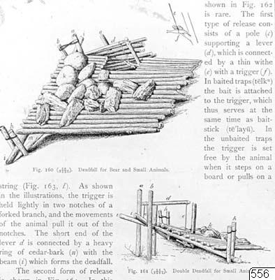 Jaktfällor, illustration, teckning, Teckning, drawing