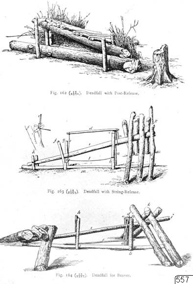 illustration, Fällor, teckning, Teckning, drawing