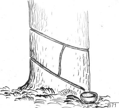 link to gallery