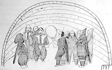 Koppareskimåer, Teckning, drawing