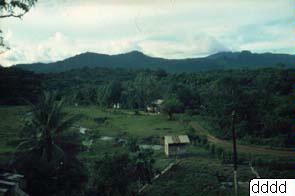 link to gallery